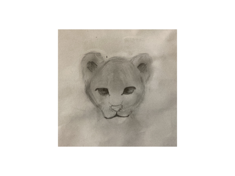 Lion Cub :3