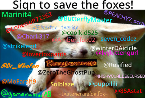 STOP HUNTING FOXES remix remix remix remix remix 7's remix... remix remix remix remix remix r… remix