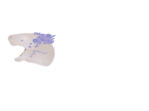 Shimo unfinished and I am very tired