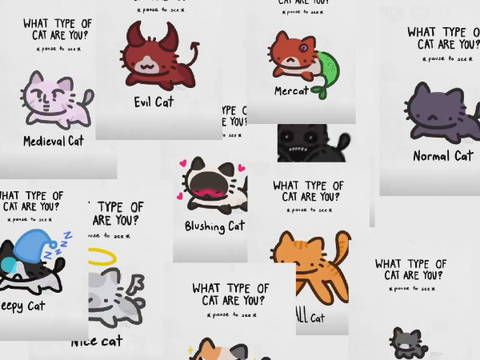 what type of cat are you