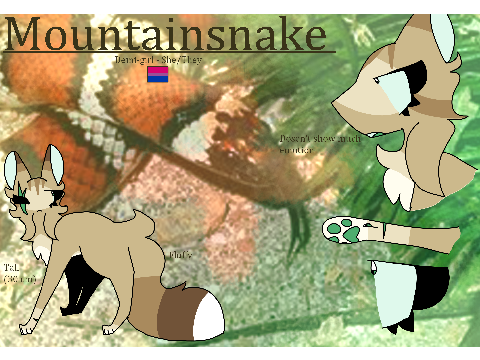 Mountainsnake - WC?