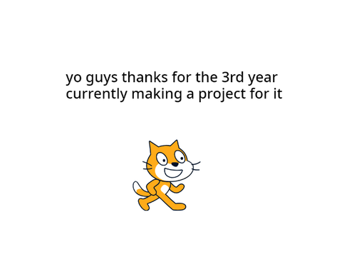 the 3rd year