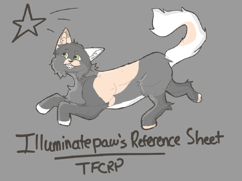 ⋮ Illuminatepath Reference Sheet ⋮