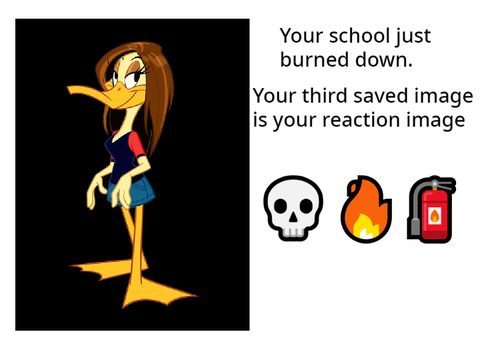 erm