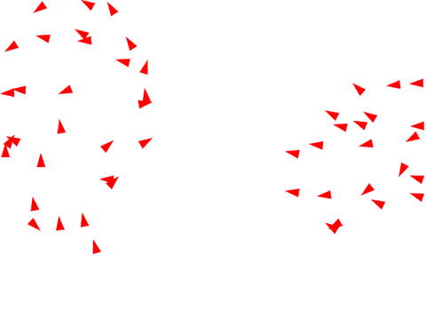 Boid test