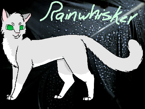 Warrior Cat Challenge CCE || With Animation!