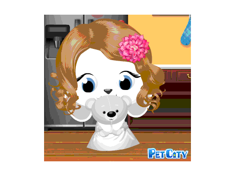pet city pics