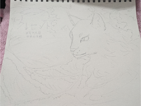 Sketch 