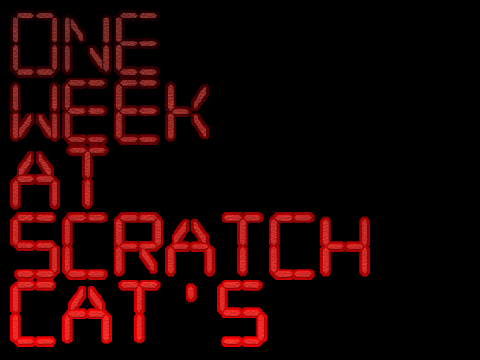 One Week at Scratch Cat's: OFFICIAL TRAILER