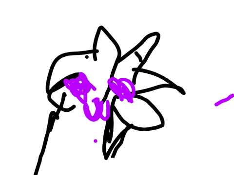 Whelp, I tried 