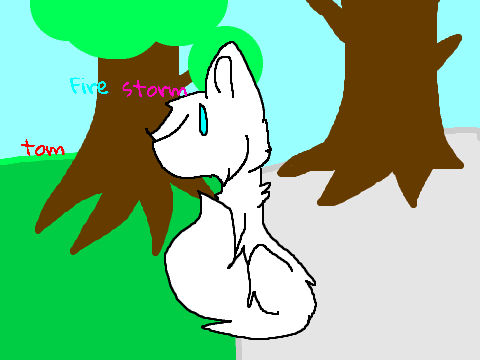 Warrior cat generator! (WIP)