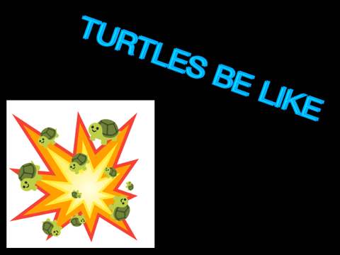 Crazy Turtles Be Like