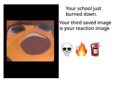 Your school just burned down and your third saved image is your reaction