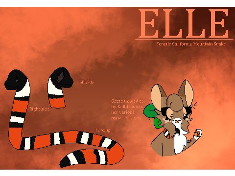 Elle - Roibin's Snakes