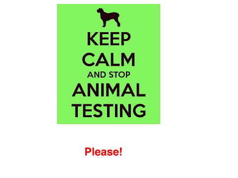 Animal Testing. It Has To Stop.