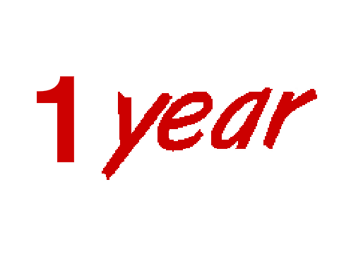 1 YEAR