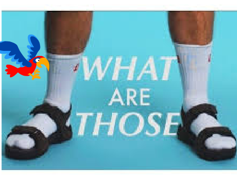 the birds tell the truth!!!