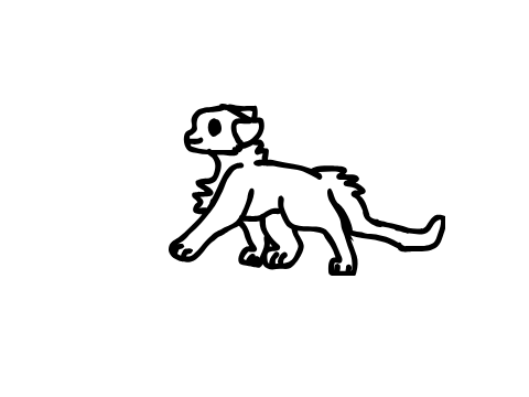 Cat Walk
