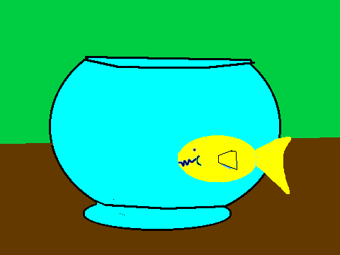 bob the goldfish