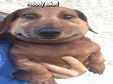 my honest reaction
