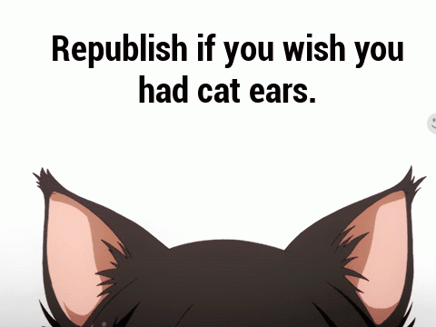 Remix if you wish you had cat ears I MEAN IT