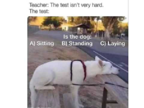 How Math Teachers Be Like