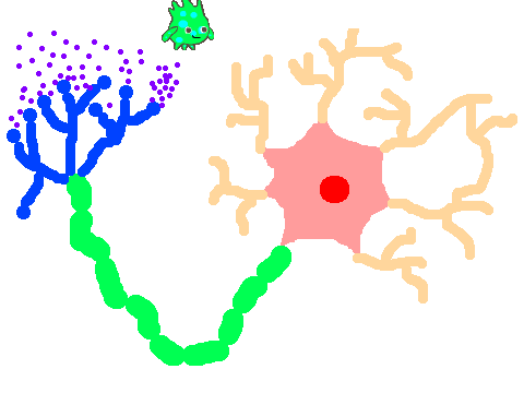 Neuron Parts