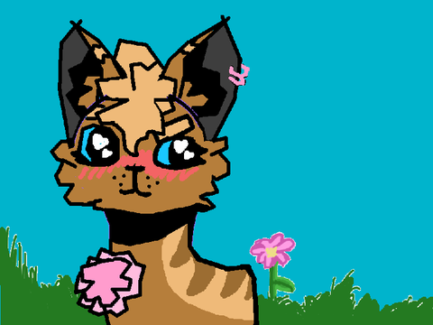 CCE *Sit Still Look Pretty* 