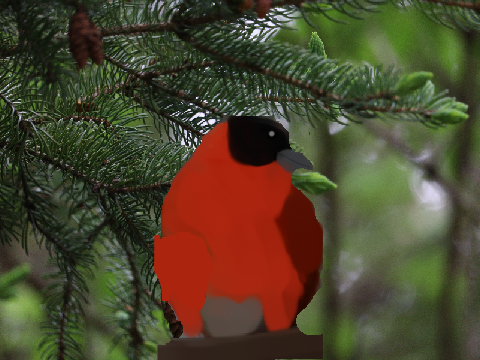 I love birds    2