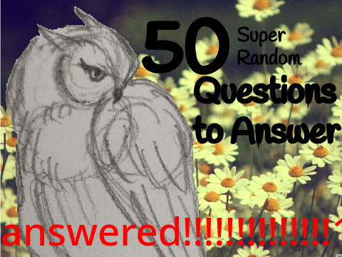 50 Super Random Questions to Answer (answered)