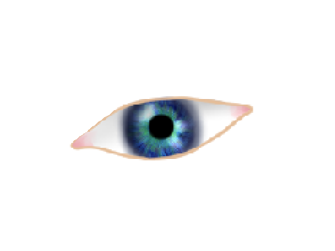 Contest round 2 Entry