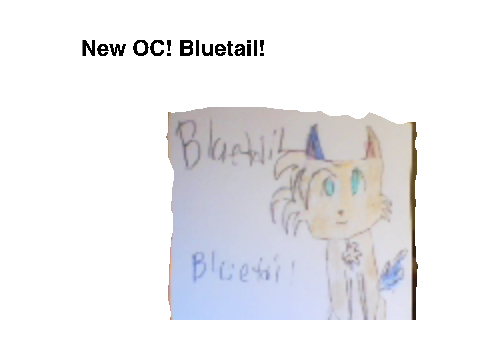 My New OC! (Bluetail)