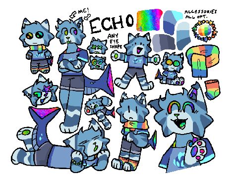 Echo - Summer '24 Reference