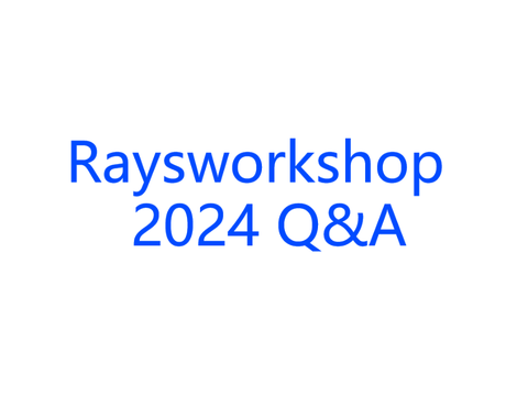 Raysworkshop in 2024