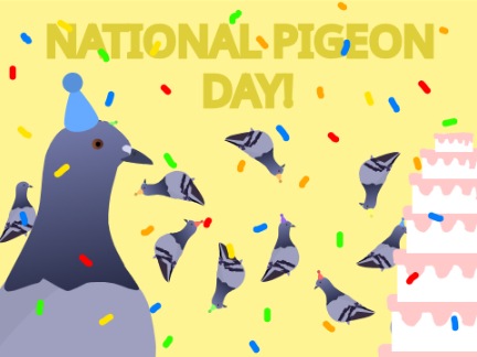 National Pigeon Day Animation