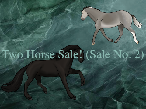 SOLD Two Horse Sale! (Sale No. 2)