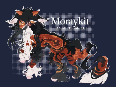 ✧ ❝ dragonfire ❝ ✧ a moraykit application ✧