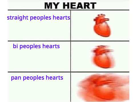 Gay memes