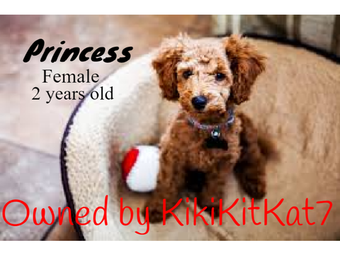 Adopt a puppy! remix