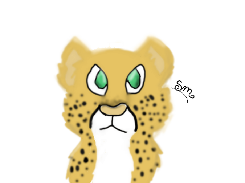 TheCheetah