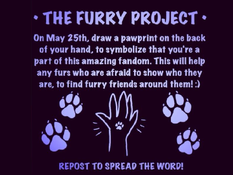The furry project
