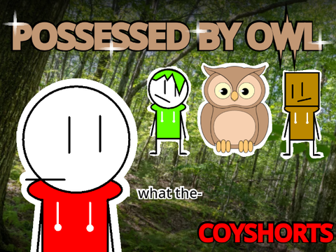 POSSESSED BY AN OWL
