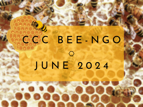 CCC Bingo ⎔ June 2024