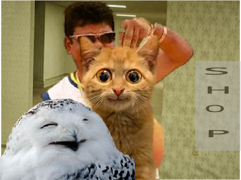 cat clicker CHAPTER 1