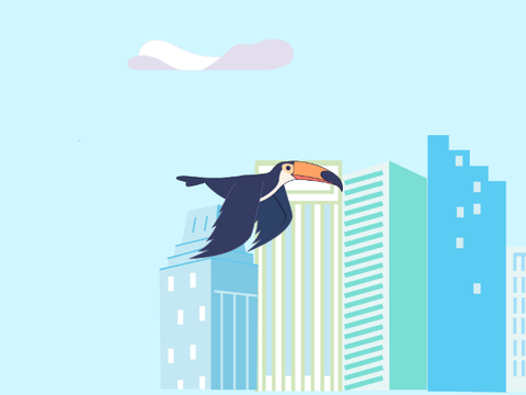 Toucan flying 