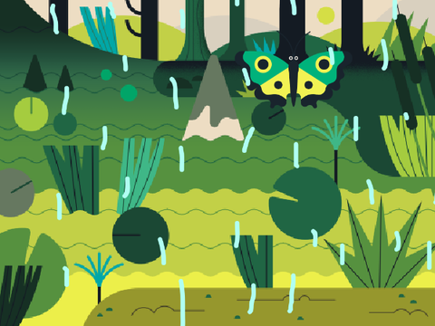 Butterfly in Rain 