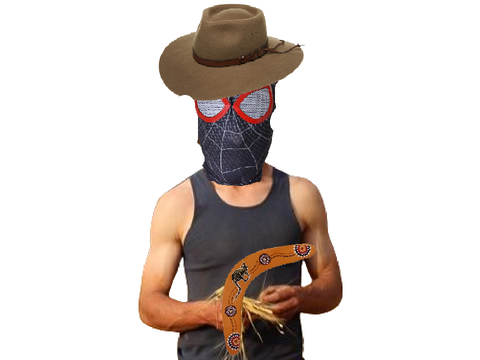 Aussie spider