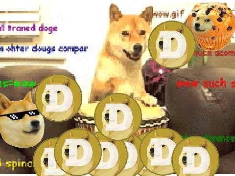 Doge Drum Solo