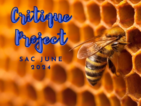 Critique Project ⎔ SAC June 2024