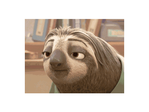 The Evolution of The Sloth's Face